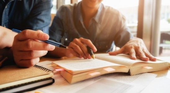 como escolher orientador